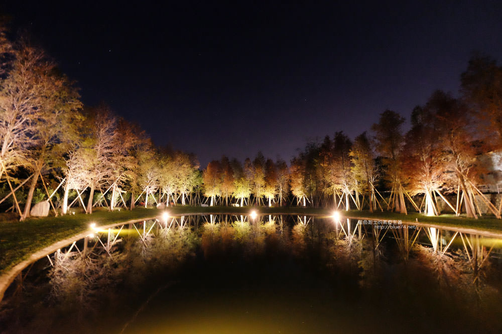 新竹關西│大樂之野景觀餐廳-落羽松包圍著愛心池塘，晚上多了唯美浪漫