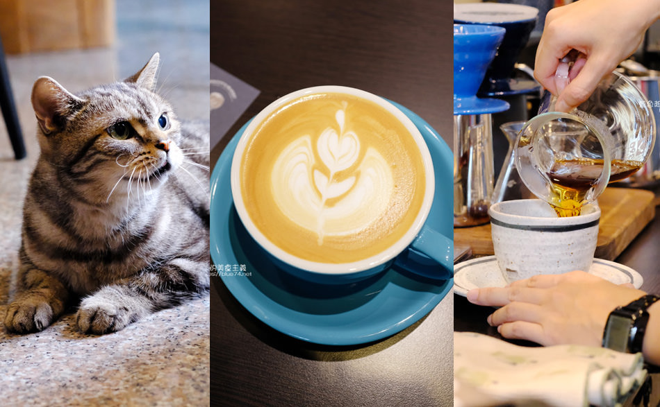 台中太平│白白咖啡-太平超隱密巷弄咖啡館，店貓陪你度過咖啡時光